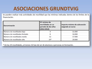ASOCIACIONES GRUNDTVIG
 