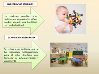 LOS PERÍODOS SENSIBLES
Los períodos sensibles son
períodos en los cuales los niños
pueden adquirir una habilidad
con mucha facilidad.
EL AMBIENTE PREPARADO
Se refiere a un ambiente que se
ha organizado cuidadosamente
para el niño, diseñado para
fomentar su auto-aprendizaje y
crecimiento
 