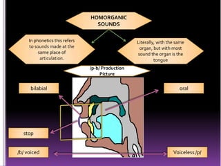 PHONEMIC AND PHONETIC CONSONANT CONTRAST BY EVELYN SIMBAÑA | PPTX