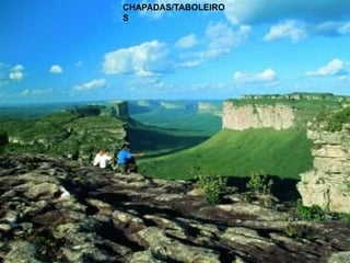 CHAPADAS/TABOLEIRO
S
 