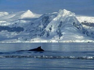 Presentación2 relieves