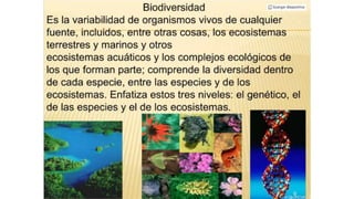 Biodiversidad Biología de México y otros lugares
