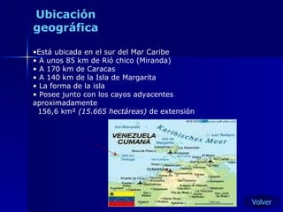 Ubicación geográfica Está ubicada en el sur del Mar Caribe A unos 85 km de Rió chico (Miranda)  A 170 km de Caracas  A 140 km de la Isla de Margarita  La forma de la isla  Posee junto con los cayos adyacentes aproximadamente  156,6 km ²   (15.665 hectáreas)  de extensión Volver 