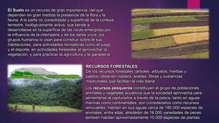 El Suelo es un recurso de gran importancia, del que 
dependen en gran medida la presencia de la flora y la 
fauna; A la parte no consolidada y superficial de la corteza 
terrestre, biológicamente activa, que tiende a 
desarrollarse en la superficie de las rocas emergidas por 
la influencia de la intemperie y de los seres vivos, los 
grupos humanos lo usan para construir sobre él sus 
habitaciones, para actividades recreativas como el juego 
y el deporte, en actividades forestales al aprovechar la 
vegetación, y para practicar la agricultura y la ganadería. 
RECURSOS FORESTALES 
De los recursos forestales (árboles, arbustos, hierbas y 
pastos) obtienen madera, aceites, fibras y sustancias 
medicinales que facilitan la vida diaria. 
Los recursos pesqueros constituyen el grupo de poblaciones 
animales y vegetales acuáticos que la sociedad aprovecha para 
alimentarse al capturarlos a través de la pesca; tanto en aguas 
marinas como continentales, son considerados como recursos 
renovables, habitan en sus aguas cerca de 180,000 especies de 
animales; entre ellas, alrededor de 16,000 variedades de peces. 
también habitan aproximadamente 10,000 especies de plantas. 
 