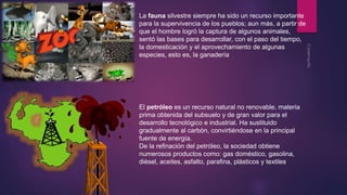 La fauna silvestre siempre ha sido un recurso importante 
para la supervivencia de los pueblos; aun más, a partir de 
que el hombre logró la captura de algunos animales, 
sentó las bases para desarrollar, con el paso del tiempo, 
la domesticación y el aprovechamiento de algunas 
especies, esto es, la ganadería 
El petróleo es un recurso natural no renovable, materia 
prima obtenida del subsuelo y de gran valor para el 
desarrollo tecnológico e industrial. Ha sustituido 
gradualmente al carbón, convirtiéndose en la principal 
fuente de energía. 
De la refinación del petróleo, la sociedad obtiene 
numerosos productos como: gas doméstico, gasolina, 
diésel, aceites, asfalto, parafina, plásticos y textiles. 
 