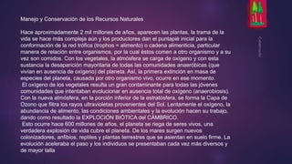 Manejo y Conservación de los Recursos Naturales 
Hace aproximadamente 2 mil millones de años, aparecen las plantas, la trama de la 
vida se hace más compleja aún y los productores dan el puntapié inicial para la 
conformación de la red trófica (trophos = alimento) o cadena alimenticia, particular 
manera de relación entre organismos, por la cual éstos comen a otro organismo y a su 
vez son comidos. Con los vegetales, la atmósfera se carga de oxígeno y con esta 
sustancia la desaparición mayoritaria de todas las comunidades anaeróbicas (que 
vivían en ausencia de oxígeno) del planeta. Así, la primera extinción en masa de 
especies del planeta, causada por otro organismo vivo, ocurre en ese momento. 
El oxígeno de los vegetales resulta un gran contaminante para todas las jóvenes 
comunidades que intentaban evolucionar en ausencia total de oxígeno (anaerobiosis). 
Con la nueva atmósfera, en la porción inferior de la estratósfera, se forma la Capa de 
Ozono que filtra los rayos ultravioletas provenientes del Sol. Lentamente el oxígeno, la 
abundancia de alimento, las condiciones ambientales y la evolución hacen su trabajo, 
dando como resultado la EXPLOCIÓN BIÓTICA del CÁMBRICO. 
Esto ocurre hace 600 millones de años, el planeta se riega de seres vivos, una 
verdadera explosión de vida cubre el planeta. De los mares surgen nuevos 
colonizadores, anfibios, reptiles y plantas terrestres que se asientan en suelo firme. La 
evolución aceleraba el paso y los individuos se presentaban cada vez más diversos y 
de mayor talla 
 
