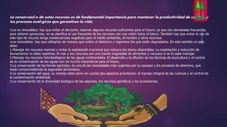 La conservación de estos recursos es de fundamental importancia para mantener la productividad de un país, y 
los procesos ecológicos que garanticen la vida. 
•Los no renovables: hay que evitar el derroche, reservar algunos recursos suficientes para el futuro; ya que con demasiada frecuencia, 
para obtener ganancias, no se planifica el uso frecuente de los recursos con una visión hacia el futuro. También hay que evitar el uso de 
este tipo de recurso tenga consecuencias negativas para el medio ambiente, el hombre y otros recursos. 
•Los renovables: hay que utilizarlos de manera que eviten el deterioro y regenerar los que están degradados. En este sentido un país 
debe: 
1.Manejar los recursos marinos y evitar la explotación irracional que reduzca los stocks disponibles. La explotación y reducción de 
faunamarina no debe repetirse. El mar y sus recursos son una fuente inagotable de alimentos y recursos si se lo sabe manejar. 
2.Manejar los recursos hidrobiológicos de las aguas continentales. El desarrollo y la difusión de las técnicas de acuicultura y el control 
de la contaminación de las aguas son de mucha importancia para el futuro. 
3.La conservación de las tierras agrícolas, es una de las necesidades más urgentes por su escasez y los procesos de deterioro, que 
están comprometiendo la seguridad alimentaria. 
4.La conservación del agua, su manejo debe tener en cuenta dos aspectos prioritarios: el manejo integral de las cuencas y el control de 
la contaminación ambiental. 
5.La conservación de la diversidad biológica de las especies, los recursos genéticos y los ecosistemas. 
 