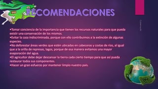 •Tomar conciencia de la importancia que tienen los recursos naturales para que pueda 
existir una conservación de los mismos. 
•Evitar la caza indiscriminada, porque con ello contribuimos a la extinción de algunas 
especies. 
•No deforestar áreas verdes que estén ubicadas en cabeceras y costas de ríos, al igual 
que a la orilla de represas, lagos, porque de esa manera evitamos una mayor 
evaporación del agua. 
•El agricultor debe dejar descansar la tierra cada cierto tiempo para que así pueda 
restaurar todos sus componentes. 
•Hacer un gran esfuerzo por mantener limpio nuestro país. 
 