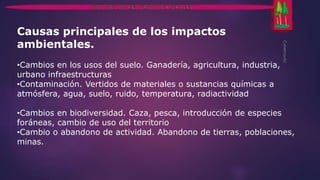 Causas principales de los impactos 
ambientales. 
•Cambios en los usos del suelo. Ganadería, agricultura, industria, 
urbano infraestructuras 
•Contaminación. Vertidos de materiales o sustancias químicas a 
atmósfera, agua, suelo, ruido, temperatura, radiactividad 
•Cambios en biodiversidad. Caza, pesca, introducción de especies 
foráneas, cambio de uso del territorio 
•Cambio o abandono de actividad. Abandono de tierras, poblaciones, 
minas. 
 