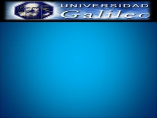 Menu Caso 2 Adali Pineda