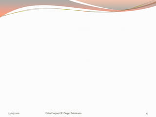 03/03/2011   Edin Duque CEI Suger Montano   13
 