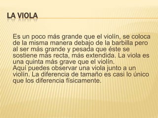 LA VIOLAEs un poco más grande que el violín, se coloca de la misma manera debajo de la barbilla pero al ser más grande y pesada que éste se sostiene más recta, más extendida. La viola es una quinta más grave que el violín.Aquí puedes observar una viola junto a un violín. La diferencia de tamaño es casi lo único que los diferencia físicamente.