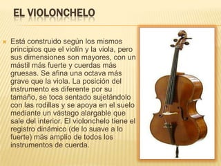 EL VIOLONCHELOEstá construido según los mismos principios que el violín y la viola, pero sus dimensiones son mayores, con un mástil más fuerte y cuerdas más gruesas. Se afina una octava más grave que la viola. La posición del instrumento es diferente por su tamaño, se toca sentado sujetándolo con las rodillas y se apoya en el suelo mediante un vástago alargableque sale del interior. El violonchelo tiene el registro dinámico (de lo suave a lo fuerte) más amplio de todos los instrumentos de cuerda.