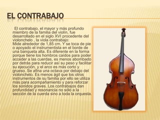 EL CONTRABAJO       El contrabajo, el mayor y más profundo miembro de la familia del violín, fue desarrollado en el siglo XVI procedente del violonchelo , la viola contrabajo:Mide alrededor de 1,85 cm. Y se toca de pie o apoyado el instrumentista en el borde de una banqueta alta. Es diferente en la forma porque tiene los hombros caídos para poder acceder a las cuerdas, es menos abombado por detrás para reducir así su peso y facilitar su ejecución, y el arco es más corto y grueso. Se afina una octava por debajo del violonchelo. Es menos ágil que los otros instrumentos de su familia por ello se utiliza más para acompañamiento y para reforzar los sonidos graves. Los contrabajos dan profundidad y resonancia no sólo a la sección de la cuerda sino a toda la orquesta.