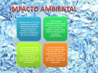 IMPACTO AMBIENTAL