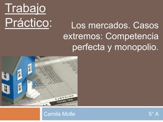 Camila Molle                                                 5° A Trabajo Práctico: Los mercados. Casos extremos: Competencia  perfecta y monopolio. 