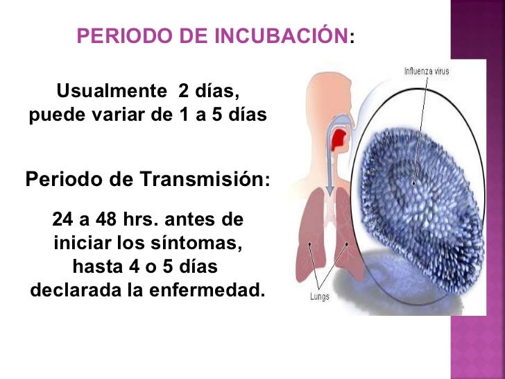 Presentación3