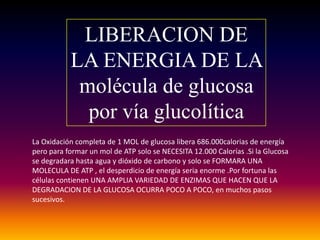 LIBERACION DE
           LA ENERGIA DE LA
            molécula de glucosa
             por vía glucolítica
La Oxidación completa de 1 MOL de glucosa libera 686.000calorias de energía
pero para formar un mol de ATP solo se NECESITA 12.000 Calorías .Si la Glucosa
se degradara hasta agua y dióxido de carbono y solo se FORMARA UNA
MOLECULA DE ATP , el desperdicio de energía seria enorme .Por fortuna las
células contienen UNA AMPLIA VARIEDAD DE ENZIMAS QUE HACEN QUE LA
DEGRADACION DE LA GLUCOSA OCURRA POCO A POCO, en muchos pasos
sucesivos.
 
