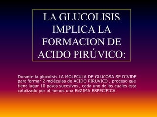 LA GLUCOLISIS
             IMPLICA LA
           FORMACION DE
          ACIDO PIRÚVICO:
Durante la glucolisis LA MOLECULA DE GLUCOSA SE DIVIDE
para formar 2 moléculas de ACIDO PIRUVICO , proceso que
tiene lugar 10 pasos sucesivos , cada uno de los cuales esta
catalizado por al menos una ENZIMA ESPECIFICA
 