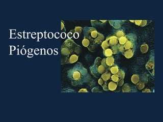 Estreptococo
Piógenos
 