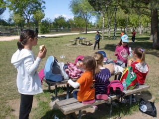 Jornada de convivencia