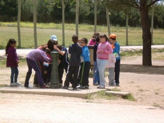 Jornada de convivencia