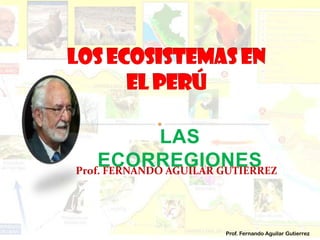 LAS
ECORREGIONESProf. FERNANDO AGUILAR GUTIERREZ
Prof. Fernando Aguilar Gutierrez
 