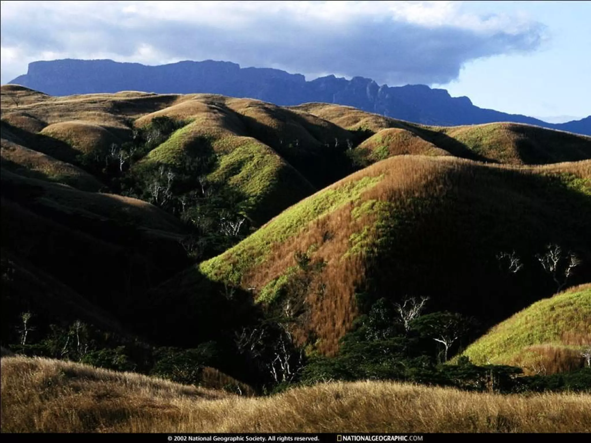 De National Geographic.