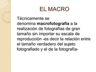 EL MACRO
Técnicamente se
denomina macrofotografía a la
realización de fotografías de gran
tamaño sin importar su escala de
reproducción -es decir la relación entre
el tamaño verdadero del sujeto
fotografiado y el de la fotografía-

 