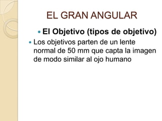 EL GRAN ANGULAR
 El


Objetivo (tipos de objetivo)

Los objetivos parten de un lente
normal de 50 mm que capta la imagen
de modo similar al ojo humano

 