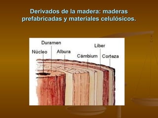 Derivados de la madera: maderas
prefabricadas y materiales celulósicos.

 