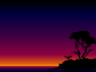 SOFTWARE DE APLICACION