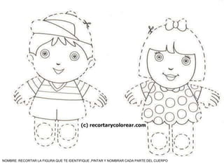 NOMBRE: RECORTAR LA FIGURA QUE TE IDENTIFIQUE ,PINTAR Y NOMBRAR CADA PARTE DEL CUERPO

 