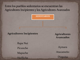 SEDENTARIOS
Agricultores Incipientes
Rapa Nui
Picunche
Mapuche
Huilliche
Agricultores
Avanzados
Aymara
Atacameño
Diaguita
 