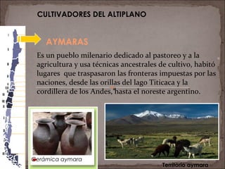 11
AYMARAS
CULTIVADORES DEL ALTIPLANO
Territorio aymara
Cerámica aymara
Es un pueblo milenario dedicado al pastoreo y a la
agricultura y usa técnicas ancestrales de cultivo, habitó
lugares que traspasaron las fronteras impuestas por las
naciones, desde las orillas del lago Titicaca y la
cordillera de los Andes, hasta el noreste argentino.
 