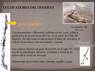 Quebrada del
río Loa
ATACAMEÑOS
CULTIVADORES DEL DESIERTO
Chorimori
instrumento ritual
Los atacameños o likanantai habitan en los oasis, valles y
quebradas de la provincia del Loa, en el norte de Chile (II
Región). En esta zona se encuentran el Salar de Atacama, el
volcán Licancábur y los ríos Salado y Grande.
Esta cultura alcanzó un gran desarrollo en el siglo XV, en el
uso de la metalurgia, alfarería, textilería y técnicas de
cultivo de la tierra en terrazas.
Obteniendo de la tierra maíz, camote, zapallo y papa
 