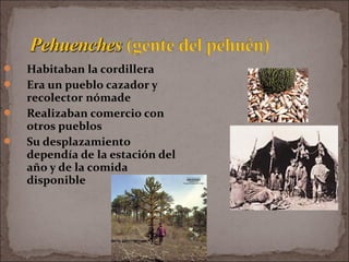  Habitaban la cordillera
 Era un pueblo cazador y
recolector nómade
 Realizaban comercio con
otros pueblos
 Su desplazamiento
dependía de la estación del
año y de la comida
disponible
 