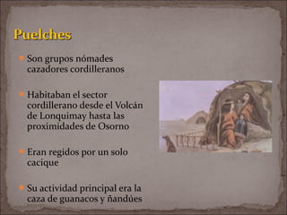 Son grupos nómades
cazadores cordilleranos
Habitaban el sector
cordillerano desde el Volcán
de Lonquimay hasta las
proximidades de Osorno
Eran regidos por un solo
cacique
Su actividad principal era la
caza de guanacos y ñandúes
 