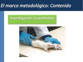 Investigación Cuantitativa
 