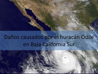 Daños causados por el huracán Odile 
en Baja California Sur 
 