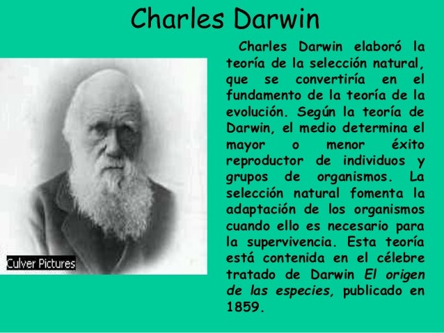 pruebas directas e indirectas sobre el origen del hombre