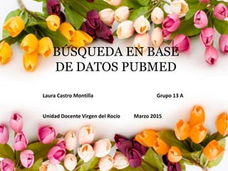 BÚSQUEDA EN BASE
DE DATOS PUBMED
Laura Castro Montilla Grupo 13 A
Unidad Docente Virgen del Rocío Marzo 2015
 