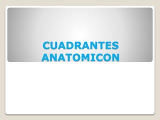 CUADRANTES
ANATOMICON
 