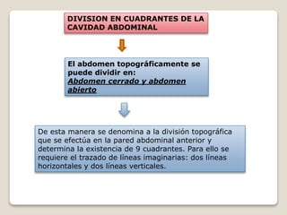 DIVISION EN CUADRANTES DE LA
CAVIDAD ABDOMINAL
El abdomen topográficamente se
puede dividir en:
Abdomen cerrado y abdomen
abierto
De esta manera se denomina a la división topográfica
que se efectúa en la pared abdominal anterior y
determina la existencia de 9 cuadrantes. Para ello se
requiere el trazado de líneas imaginarias: dos líneas
horizontales y dos líneas verticales.
 