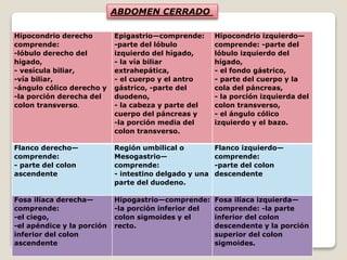 ABDOMEN CERRADO
Hipocondrio derecho
comprende:
-lóbulo derecho del
hígado,
- vesícula biliar,
-vía biliar,
-ángulo cólico derecho y
-la porción derecha del
colon transverso.
Epigastrio—comprende:
-parte del lóbulo
izquierdo del hígado,
- la vía biliar
extrahepática,
- el cuerpo y el antro
gástrico, -parte del
duodeno,
- la cabeza y parte del
cuerpo del páncreas y
-la porción media del
colon transverso.
Hipocondrio izquierdo—
comprende: -parte del
lóbulo izquierdo del
hígado,
- el fondo gástrico,
- parte del cuerpo y la
cola del páncreas,
- la porción izquierda del
colon transverso,
- el ángulo cólico
izquierdo y el bazo.
Flanco derecho—
comprende:
- parte del colon
ascendente
Región umbilical o
Mesogastrio—
comprende:
- intestino delgado y una
parte del duodeno.
Flanco izquierdo—
comprende:
-parte del colon
descendente
Fosa ilíaca derecha—
comprende:
-el ciego,
-el apéndice y la porción
inferior del colon
ascendente
Hipogastrio—comprende:
-la porción inferior del
colon sigmoides y el
recto.
Fosa ilíaca izquierda—
comprende: -la parte
inferior del colon
descendente y la porción
superior del colon
sigmoides.
 