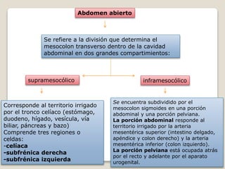 Abdomen abierto
Se refiere a la división que determina el
mesocolon transverso dentro de la cavidad
abdominal en dos grandes compartimientos:
supramesocólico inframesocólico
Corresponde al territorio irrigado
por el tronco celíaco (estómago,
duodeno, hígado, vesícula, vía
biliar, páncreas y bazo)
Comprende tres regiones o
celdas:
-celíaca
-subfrénica derecha
-subfrénica izquierda
Se encuentra subdividido por el
mesocolon sigmoides en una porción
abdominal y una porción pelviana.
La porción abdominal responde al
territorio irrigado por la arteria
mesentérica superior (intestino delgado,
apéndice y colon derecho) y la arteria
mesentérica inferior (colon izquierdo).
La porción pelviana está ocupada atrás
por el recto y adelante por el aparato
urogenital.
 
