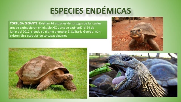 Islas Galápagos
