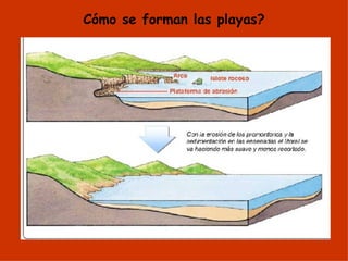 Cómo se forman las playas? 