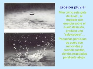 Erosión pluvial Mira cómo esta gota de lluvia , al impactar con energía sobre el suelo desnudo, produce una “salpicadura”… Pequeñas partículas de suelo son removidas y quedan sueltas, siendo arrastradas pendiente abajo. 