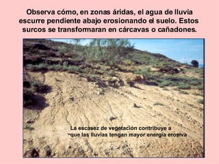 Observa cómo, en zonas áridas, el agua de lluvia escurre pendiente abajo erosionando el suelo. Estos  surcos se transformaran en cárcavas o cañadones. La escasez de vegetación contribuye a que las lluvias tengan mayor energía erosiva 